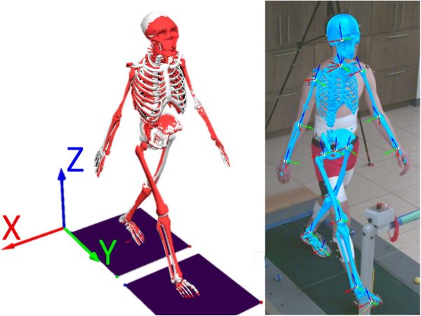 Marker-Based Systems & Occlusion